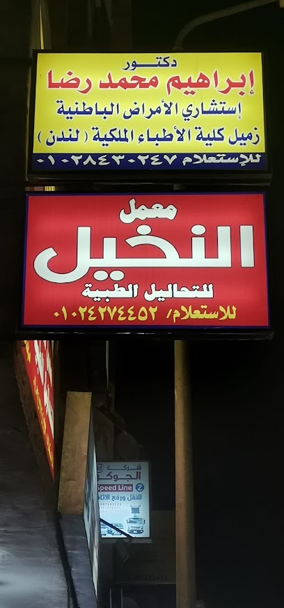 معمل النخيل  